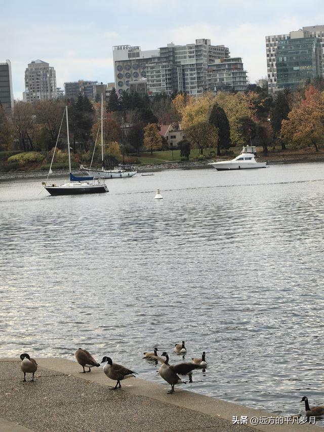 温哥华游记（六）