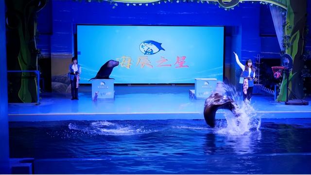 来赤峰光看比赛你就亏大了？给——City Walk地图上线！