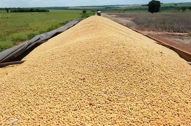 巴西大豆价格暴涨79.9%,中国买家按下暂停键,明年这笔钱还花这吗?