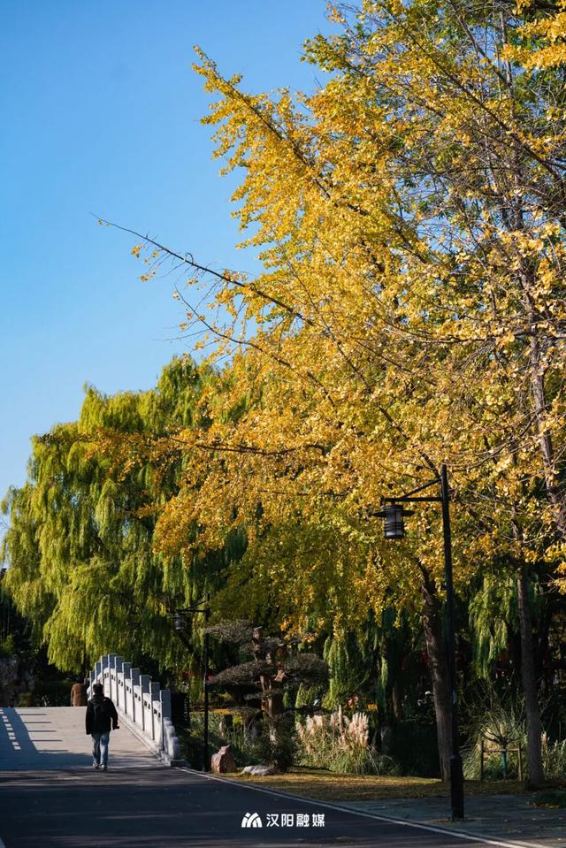 限时绝美！汉阳全城颜值巅峰，零换乘直达