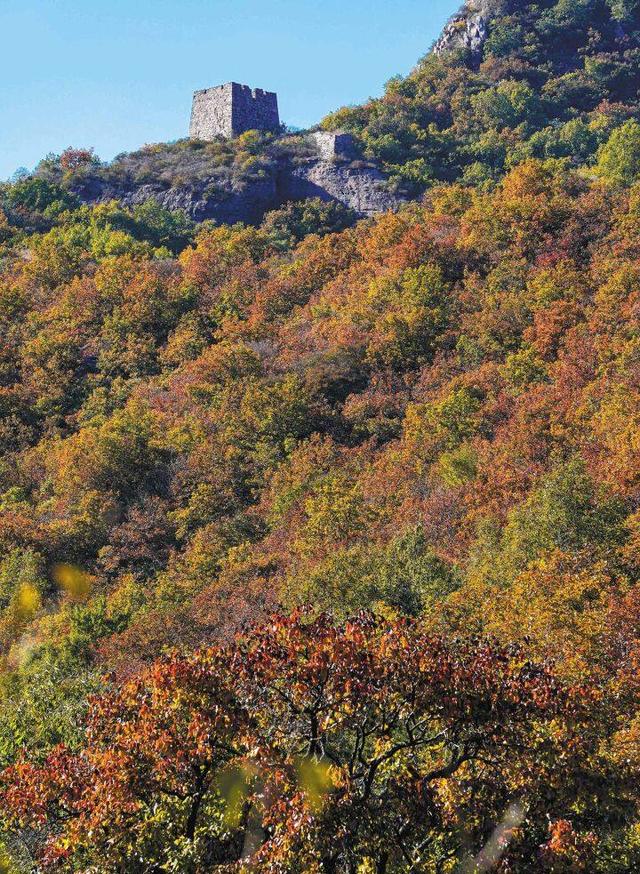 秋染秦皇共浪漫