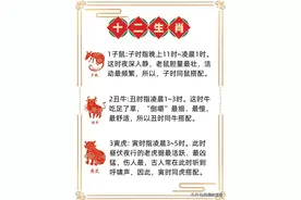 十二生肖为什么按此顺序排列图片