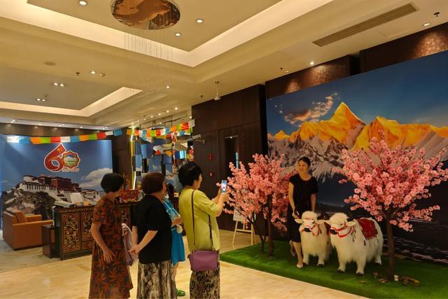 沪上体验雪域“零距离”，这场活动沉浸式“触摸”西藏60年发展脉搏