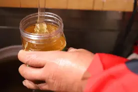 @苏州人 冬季才能酿得的“枇杷蜜”采收啦图片