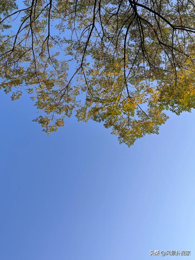 南昌凤凰洲湿地公园，美的不像话！