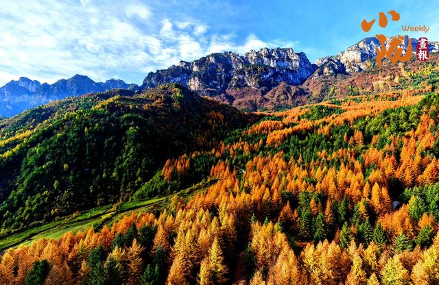 【小陇画报·439期】舟曲：绚丽赛尔布 斑斓满眼秋