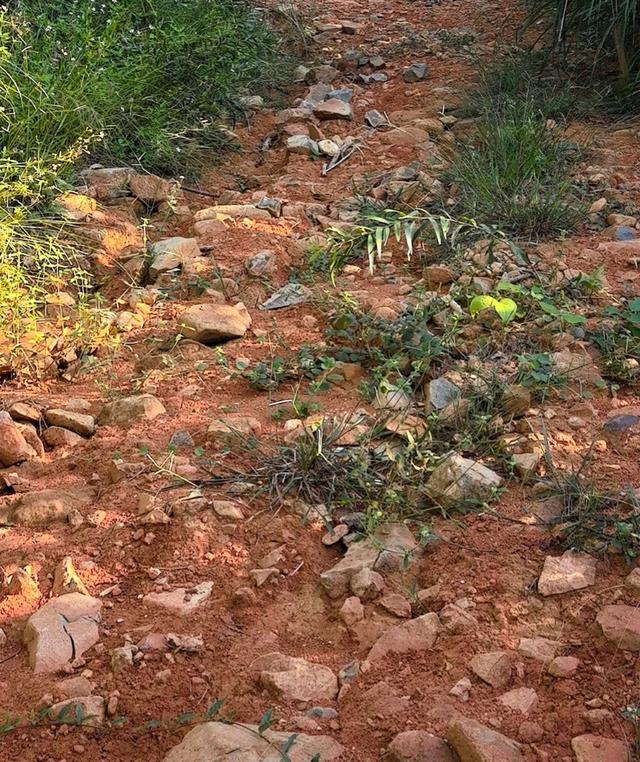 仙游大帽山，心有余悸啊！！