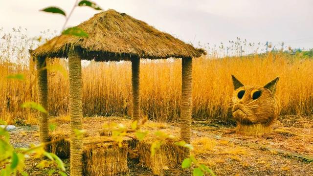 一场“叶舞+稻草”的双重奇遇！北京园博园秋游正当时——