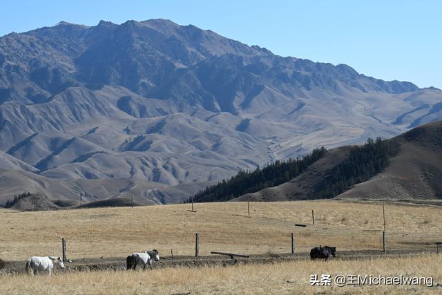 古意秋风三万里（D20）-从临泽县到祁连县