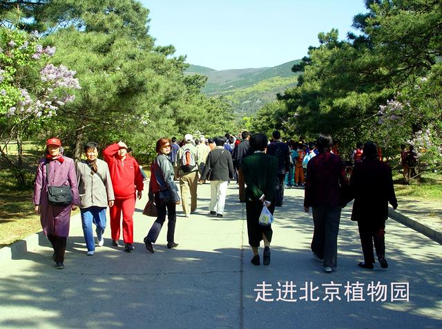 北京旅游：走进西山脚下的植物园（图）