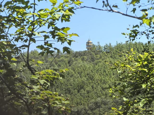 南京江宁四径山一日郊野徒步