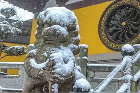 苏州的石狮子图片