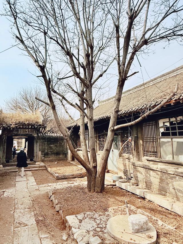 遇见庄河（秦皇岛海港区驻操营镇庄河村）