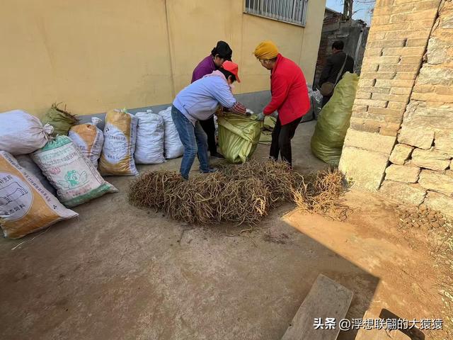 重游莱芜和庄明代建村的老姑峪