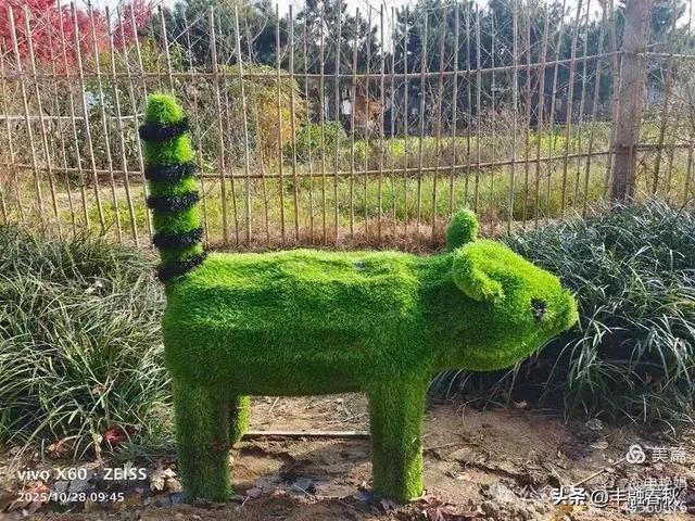 丹枫映秋,枫彩满楼|申艳娟