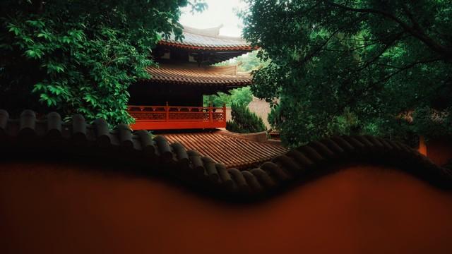 太山的方便面