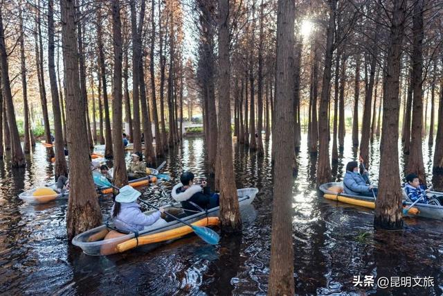 “红”爆！是谁还没有Get昆明的冬天？你知道12月的滇池有多绝？周末冲~