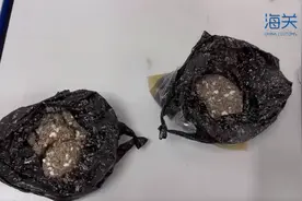 瑞丽海关在入境旅客内衣中查获2袋蚂蚁卵，重970克图片