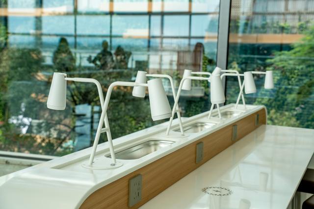 广州白云T3航站楼启用：全国最大单体机场诞生，岭南花城新地标