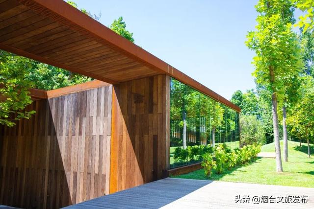 【乐游烟台】登高首选！烟台这个宝藏秘境，风景绝美！