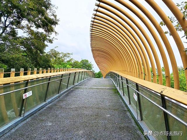 成都主城区最大人工湖，秋天超级惊艳，不要门票，地铁公交直达！