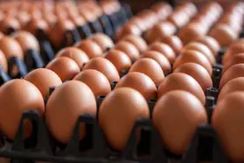 “蛋”愿人长久 身健乐无忧图片