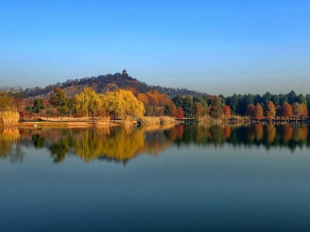 红了！红了！你最想和谁一起去？
