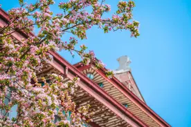 连续7天！天津大学开放校园！图片