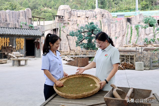 新县税务：添薪助力红色旅游 让革命老区红得更深火得更旺
