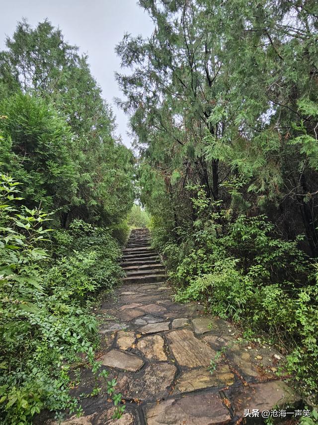 向大山出发，探索大山的奥秘，享受大山的氧吧，观赏大山的美景