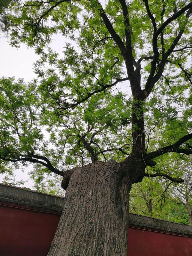 河北石家庄，寻访正定古城的九楼四塔八大寺