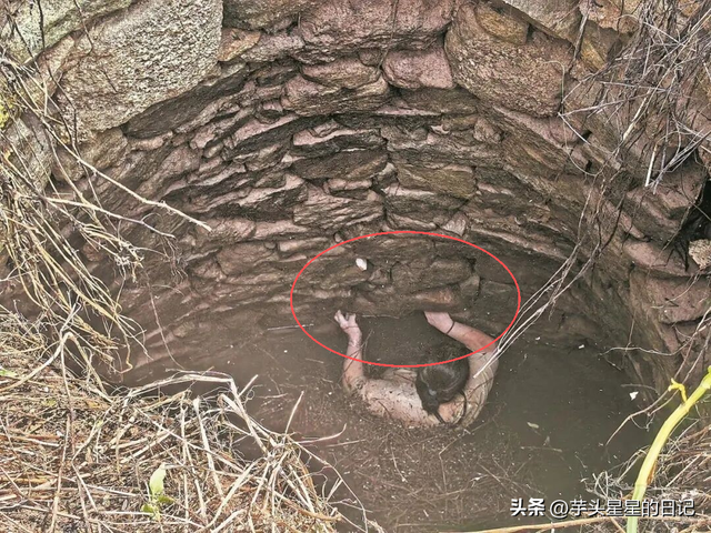 福建女子坠井54小时：被蛇缠身，淹在井水里，想着父母坚持下去