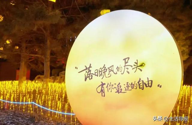 跨年灯会惊艳亮相！沈阳免费打卡地+1！