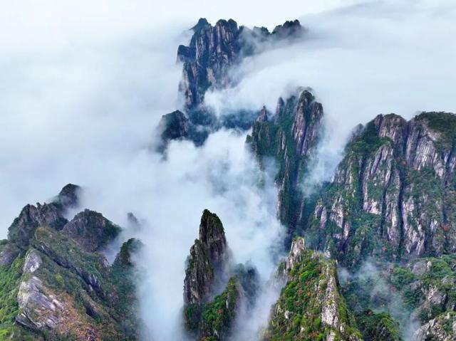 黄山秋色与云海同框的浪漫时刻 | 皖美冬日 | 第十五届安徽国际文化旅游节