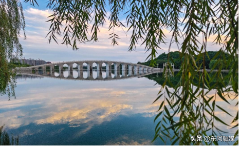 东阿县洛神湖国家湿地公园入选山东省生态旅游发展典型案例！