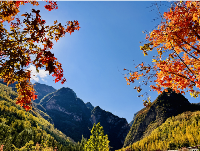 这么好看，不愧是遮阳山的秋天！