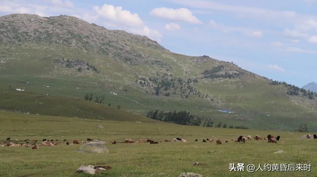 跑了一天阿禾公路，再次取消赛里木湖行程。