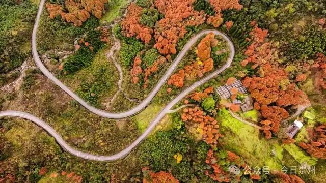漫山彩林，琉璃坝的色彩美学