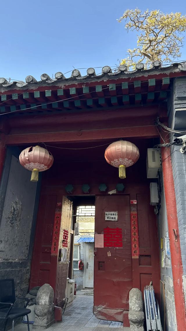 更年期小阿姨的胡同漫游