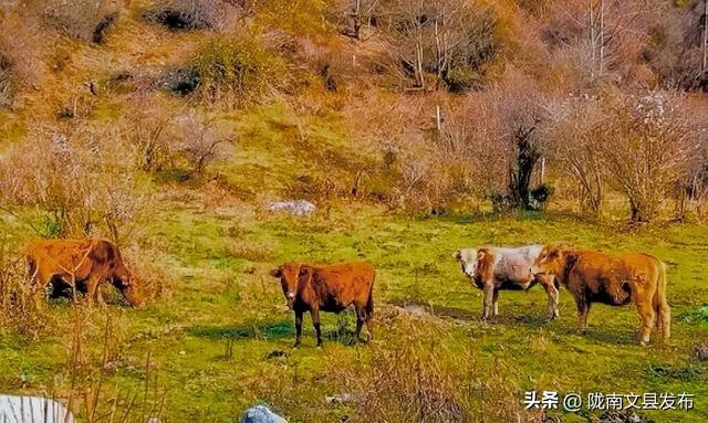 最美秋色：多彩邱家坝