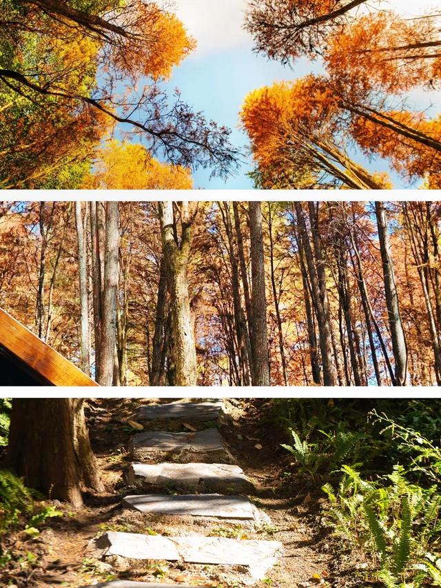 如何把1天过成N天？跟着韶关这条线路解锁瑶乡浓烈的快乐