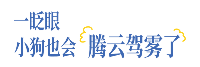 这是南京牛首山接下来的风景预告