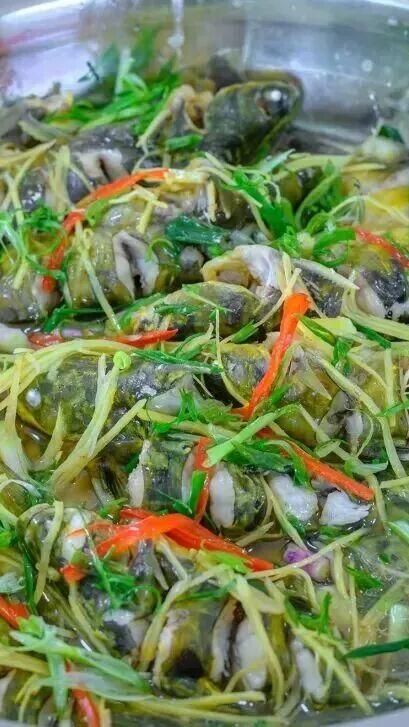 首站：阳山江英！2026清远户外运动季来了，报名已经开启！