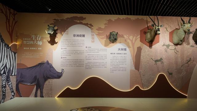 今日开展！非洲野生动物头肩标本展亮相内蒙古自然博物馆，沉浸式邂逅草原生灵