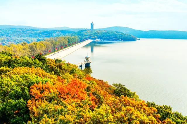 重阳节，净月潭免票！