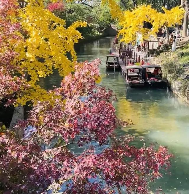 来虎丘山，这里有你更好看！