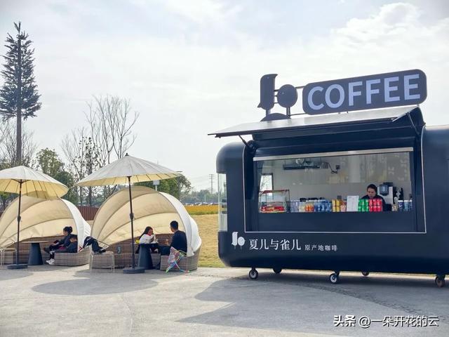 成都人看油菜花，今年换个地方“野”
