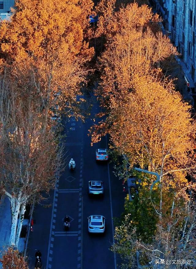 Citywalk街拍点+1!解锁泰安过冬究极浪漫,这条路也许离你不远~