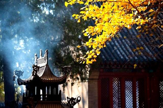 太极三重门：从“杨无敌”到生命之道的修行指南