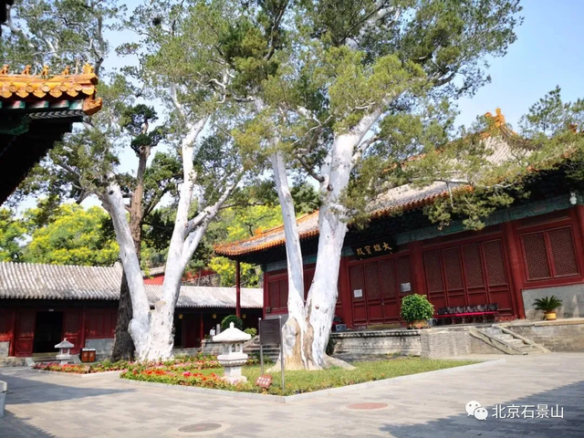 2025暑期特别企划之来石景山「 一起逛公园 」